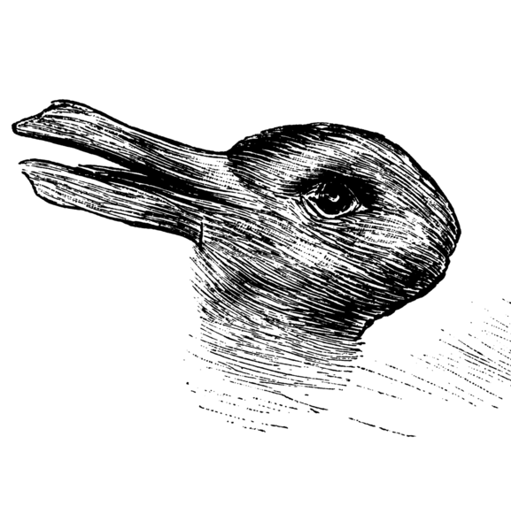 rabbit-duck-sq.png