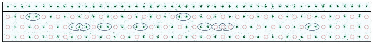 De 51 qubits van de quantumsimulator in MIT