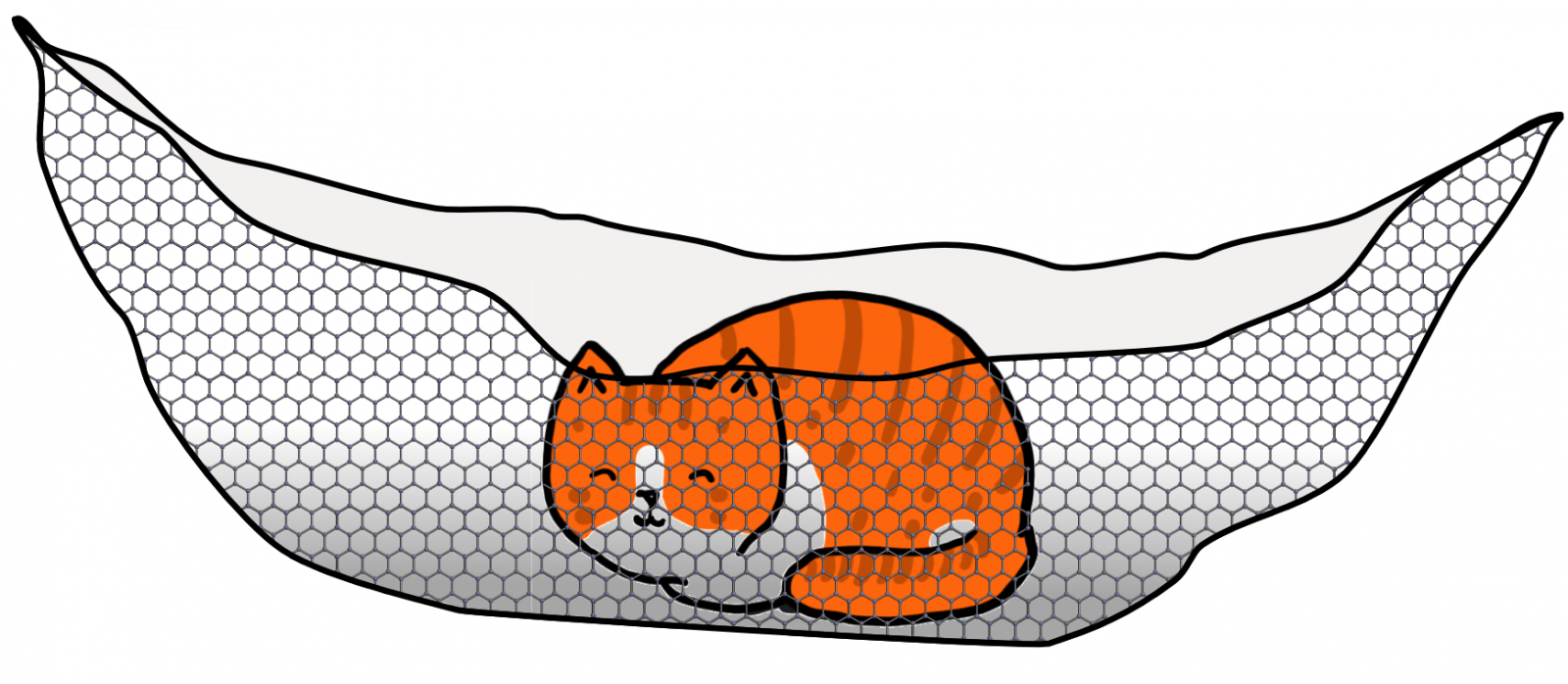 Een kat in een grafeenhangmat