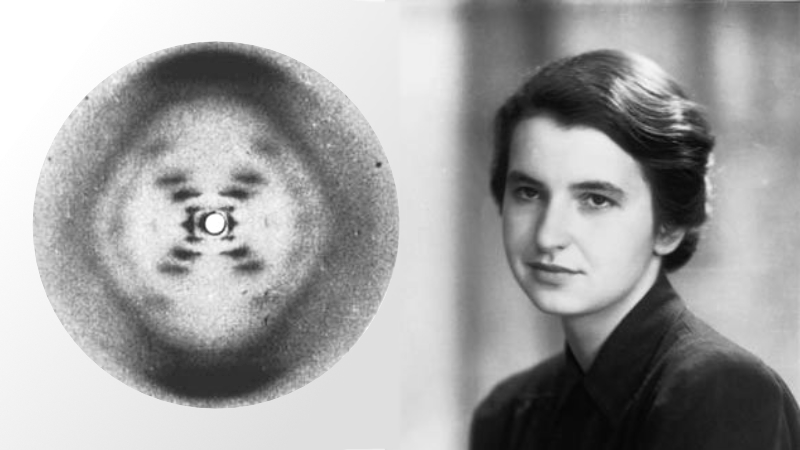 Foto 51 en Rosalind Franklin