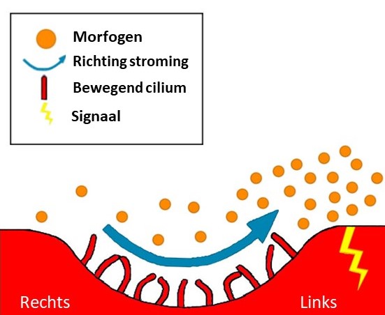 chemosensing