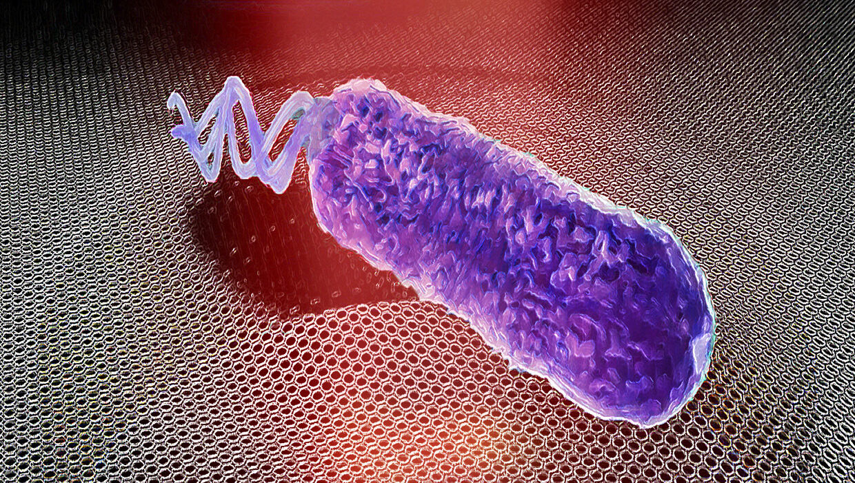 Impressie van een grafenen trommel die de trillingen van een enkele bacterie detecteert (Irek Roslon –TU Delft)