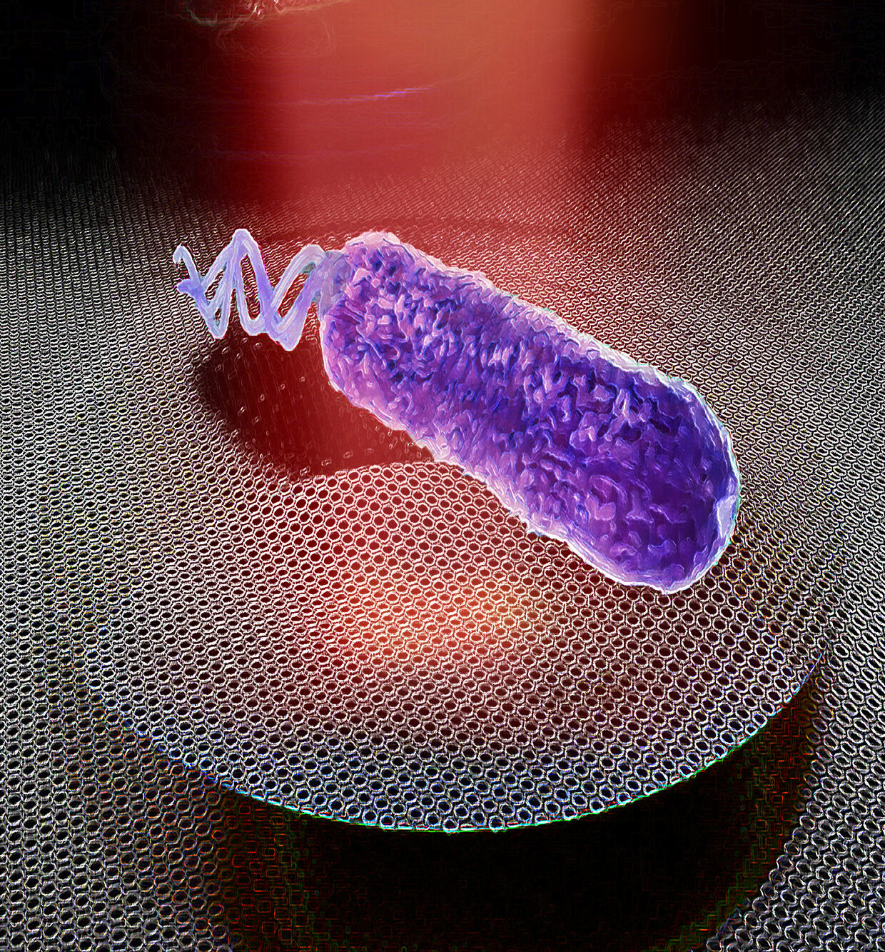 Impressie van een grafenen trommel die de trillingen van een enkele bacterie detecteert (Irek Roslon –TU Delft)