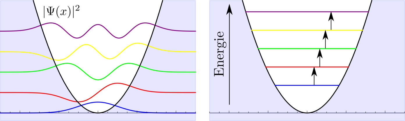 harmonische oscillator