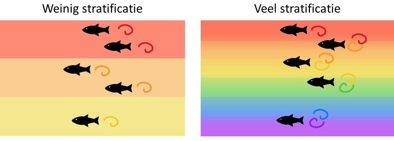 Stratificatie