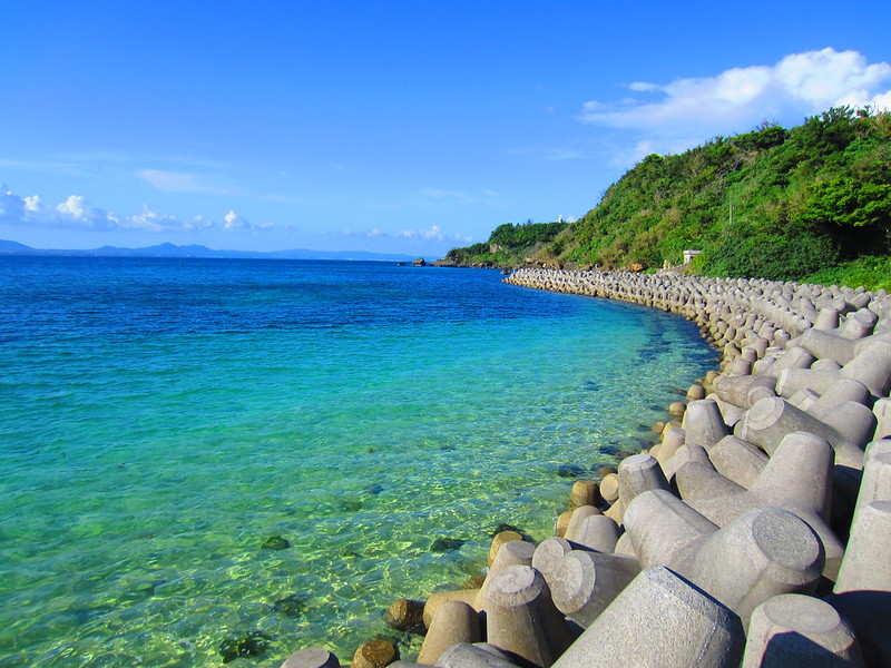 tetrapods