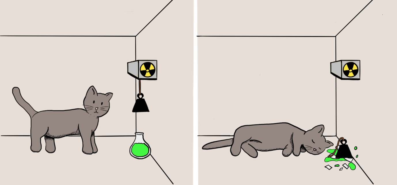 Schrödingers kat