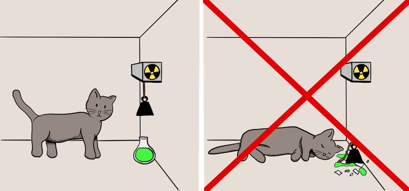 Schrödingers kat