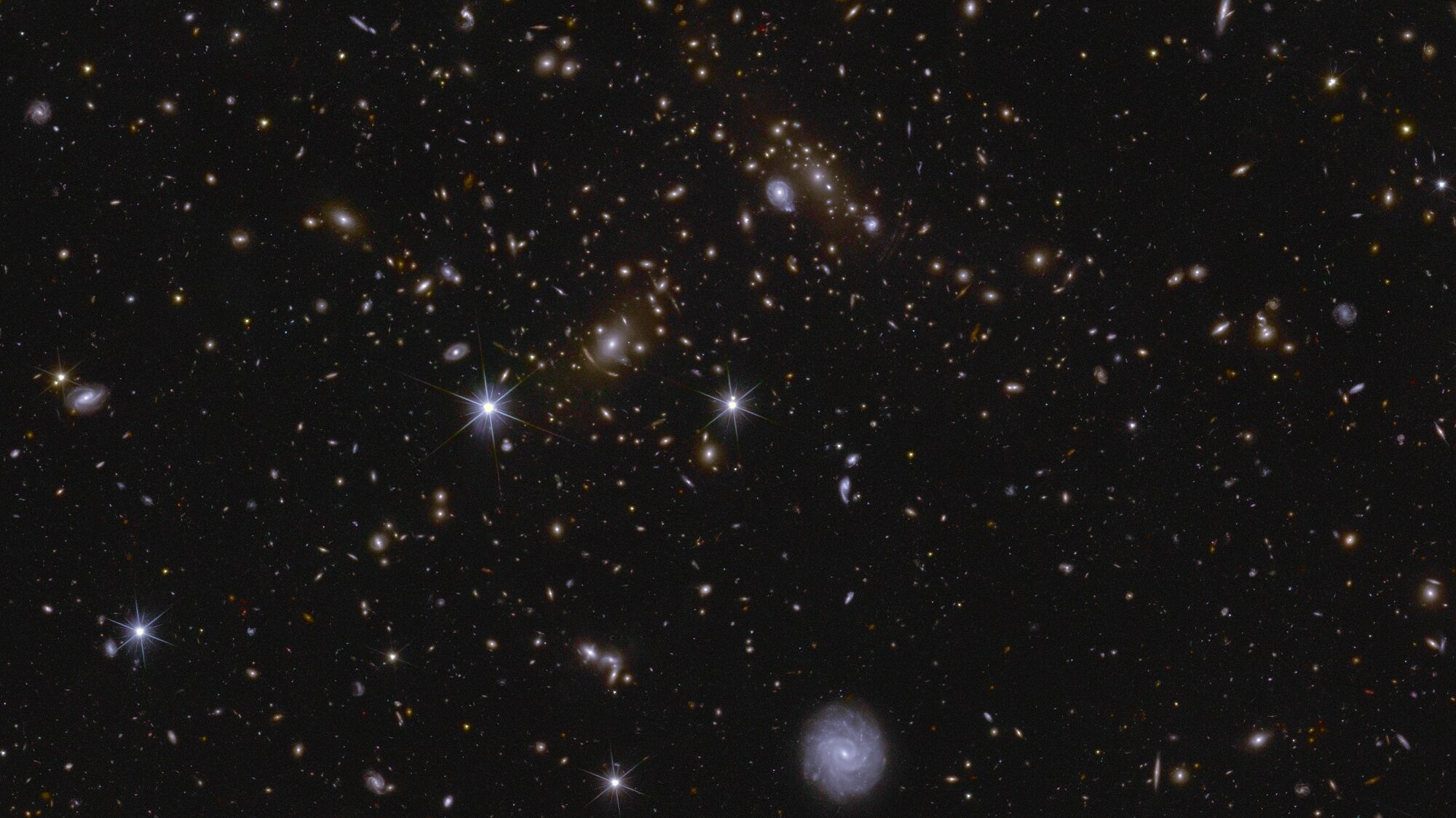 Euclid Deep Field