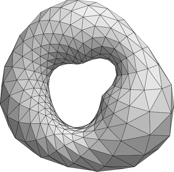 torus