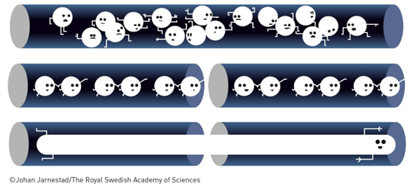 single wave function