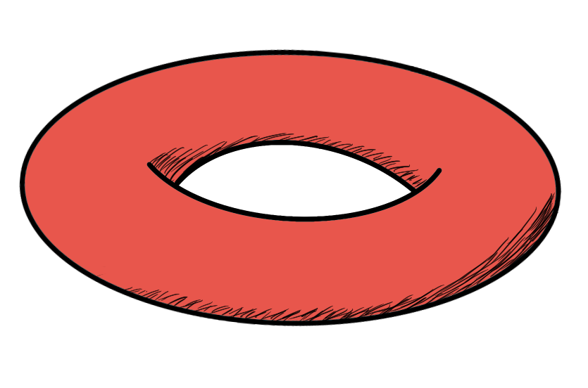 Torus
