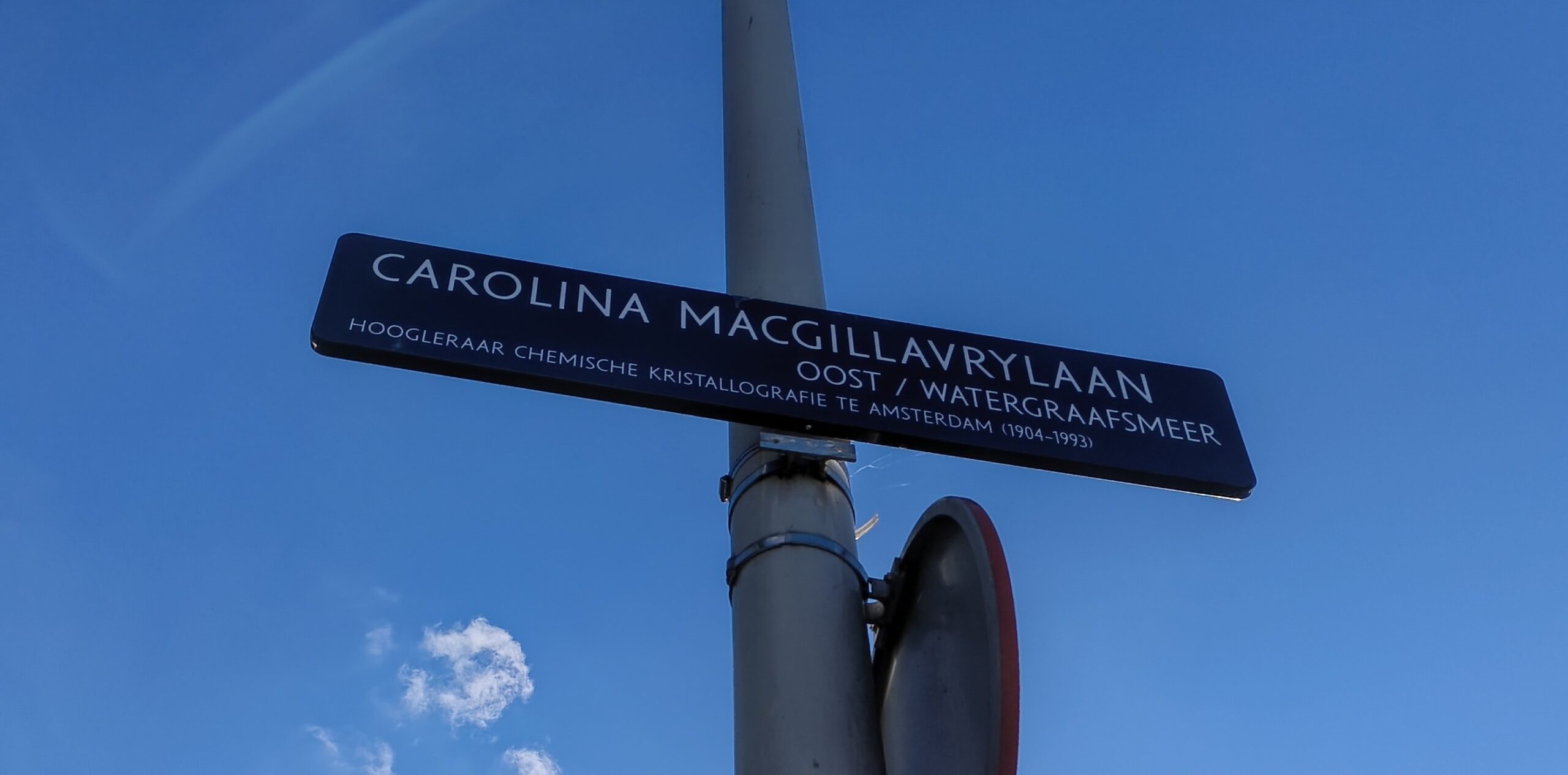 Carolina MacGillavrylaan