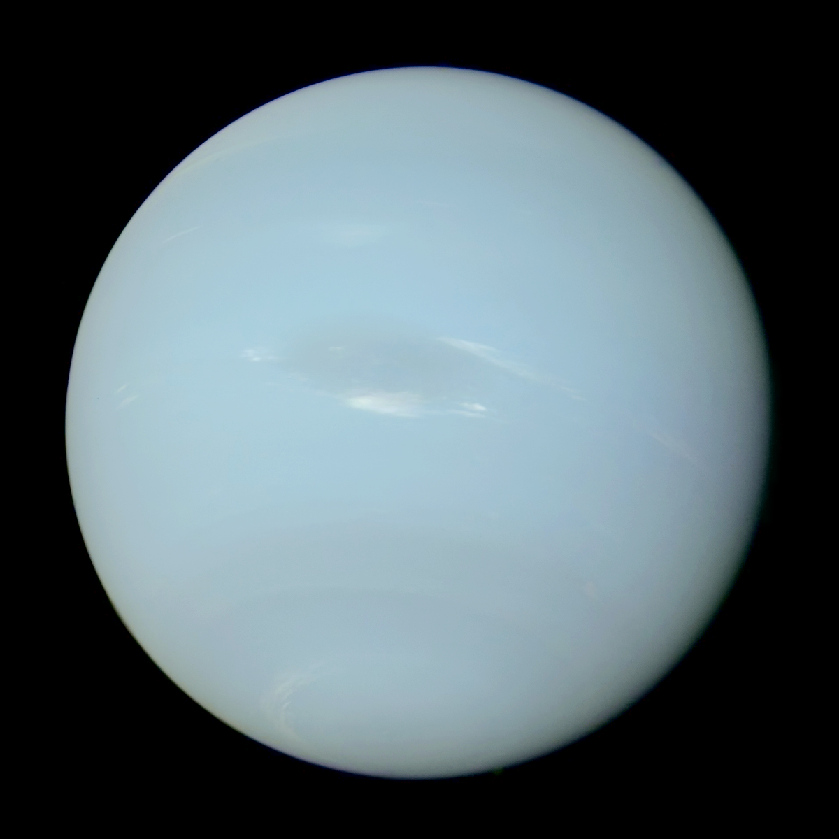 Neptunus